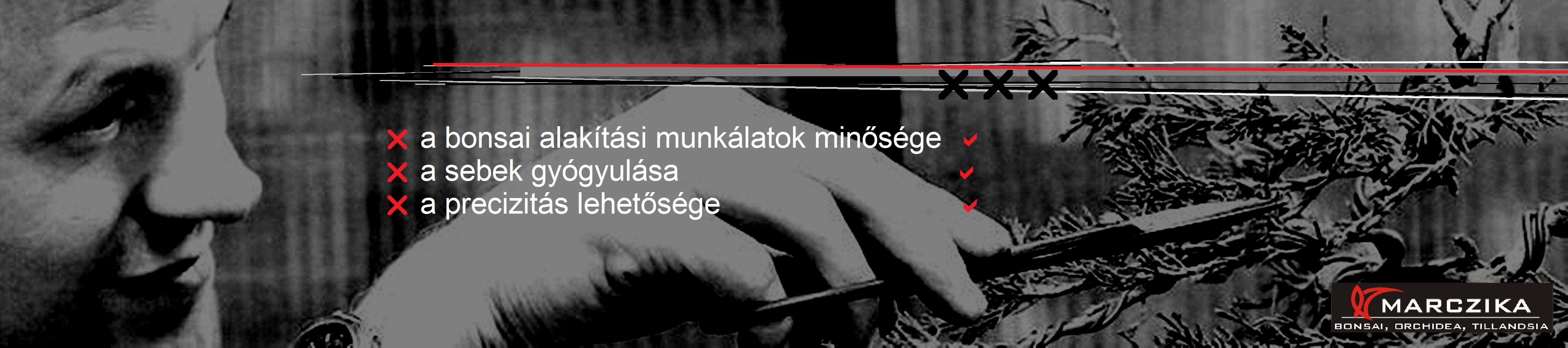 bonsai szerszámok Speciálisan bonsai alakításra kialakított szerszámok, bonsai szerszámok.